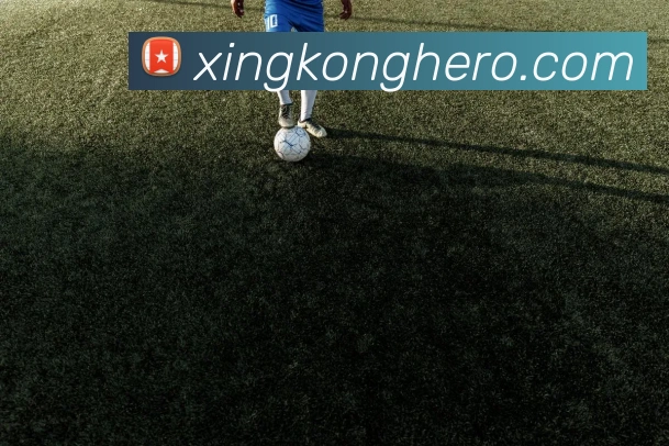 企业概况